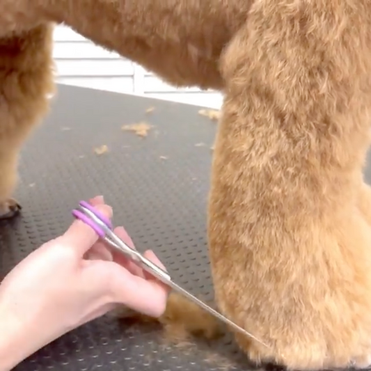 Finding the Right Cut: 7.5-Inch Serrated Straight Scissors