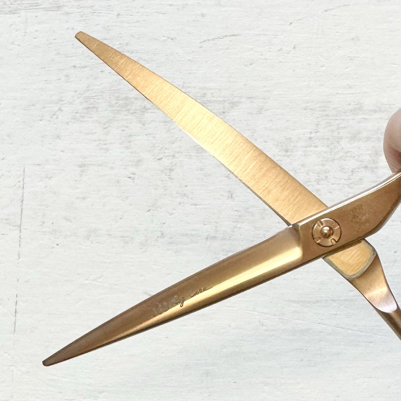 Tesoura curva de ouro rosa de 7,5": a forma encontra a função